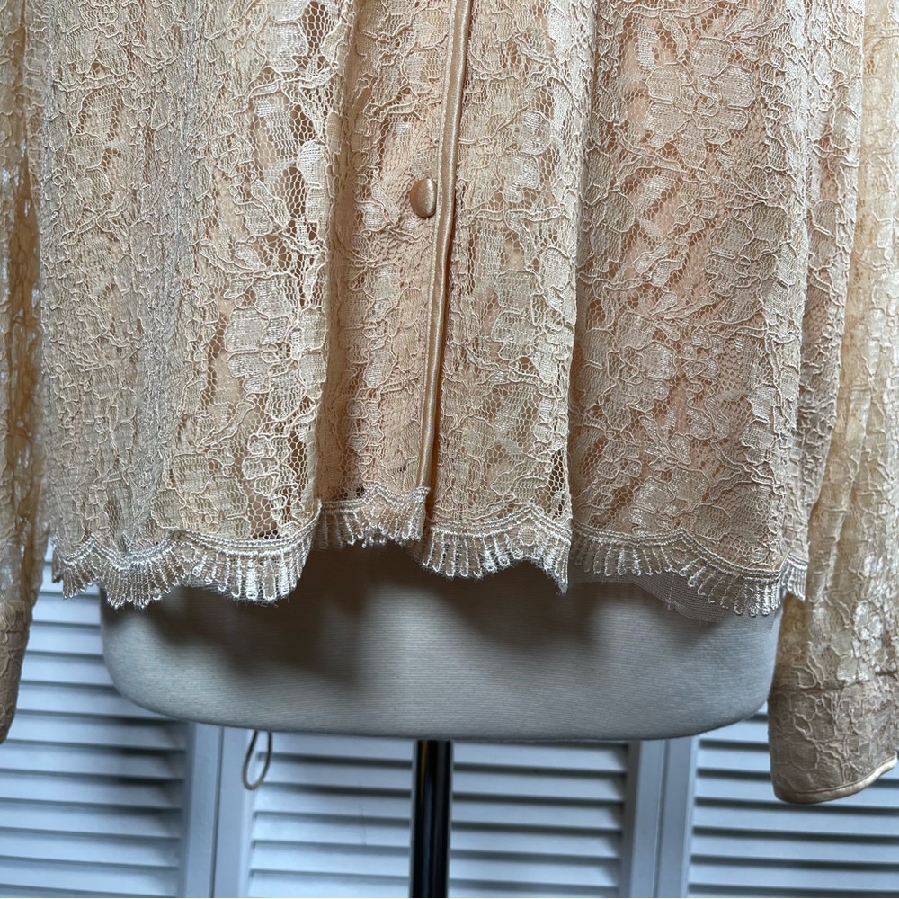 Yves St. Clair Studio Lace Blouse Champagne Floral Sheer Sleeves NWT Size 16 - Picture 4 of 14